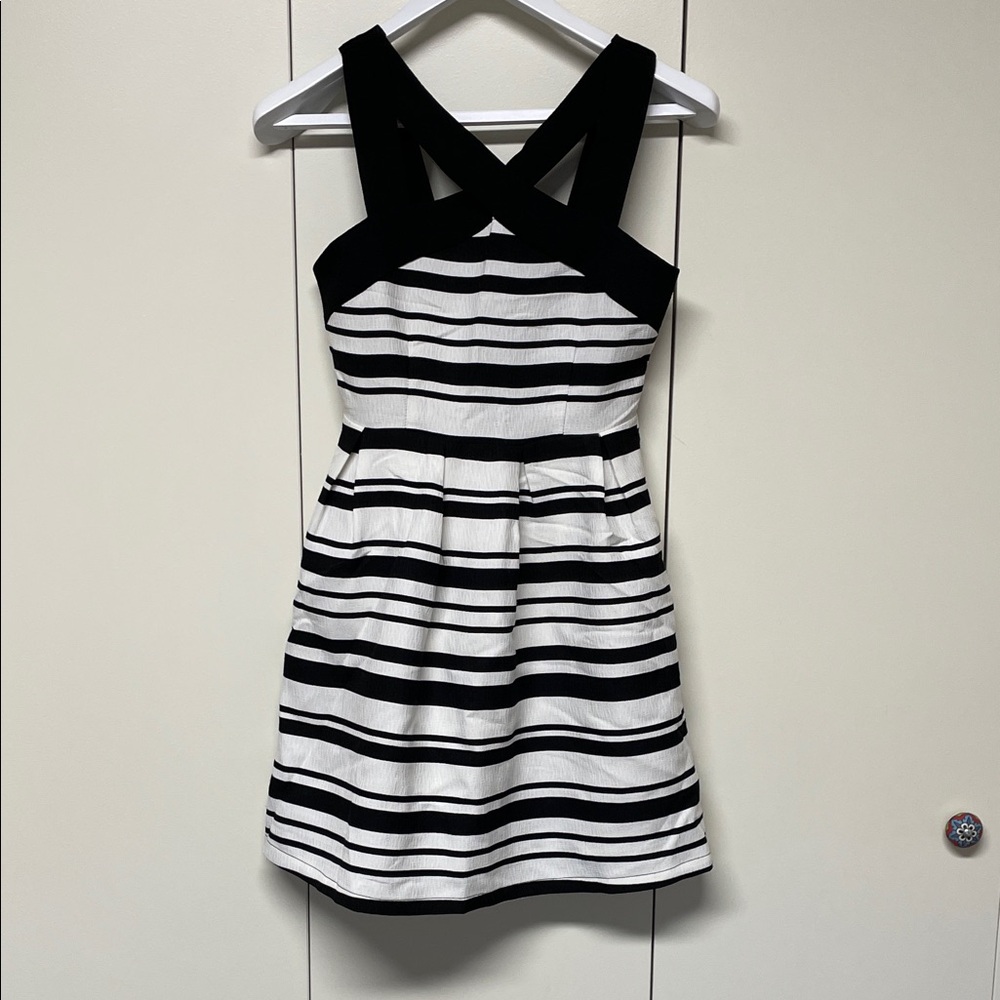 Stylish Black and White Striped ladies DressNWT